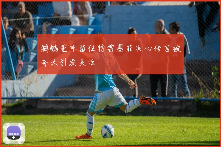 鹈鹕重申留住特雷墨菲决心传言被夸大引发关注